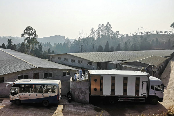 1614667106983663.jpg 2.jpg