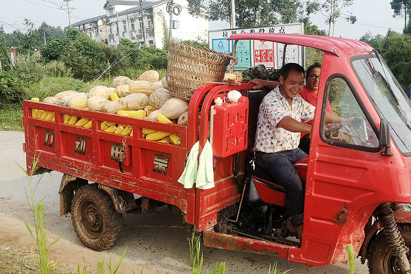 1614667222245281.jpg 4.jpg