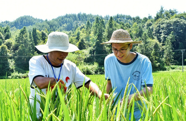 1640576229950787.png 2.png